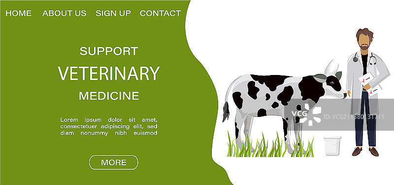 兽医医学海报项目布局图片素材