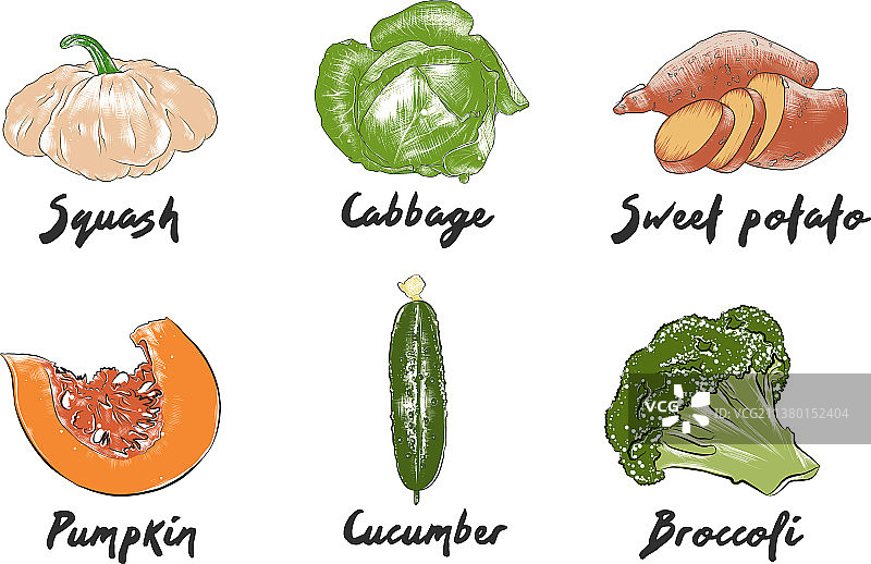 雕刻风格有机蔬菜合集图片素材