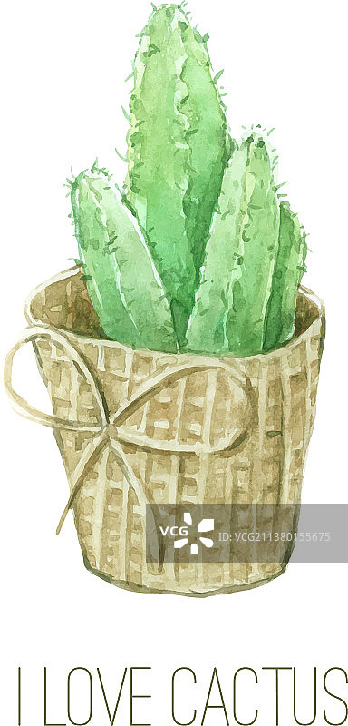 装饰用水彩仙人掌图片素材