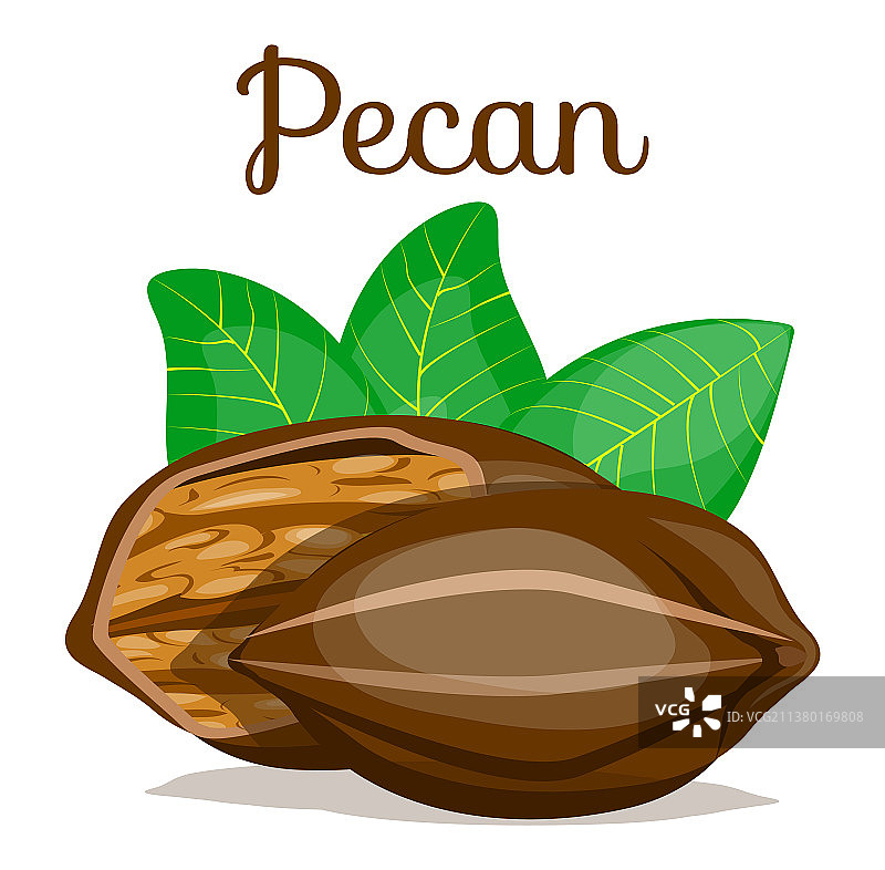 螺母素材图片素材