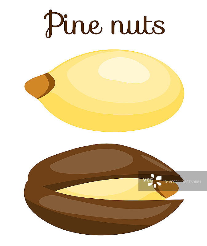 螺母素材图片素材