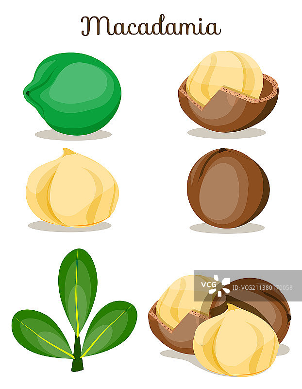 螺母素材图片素材