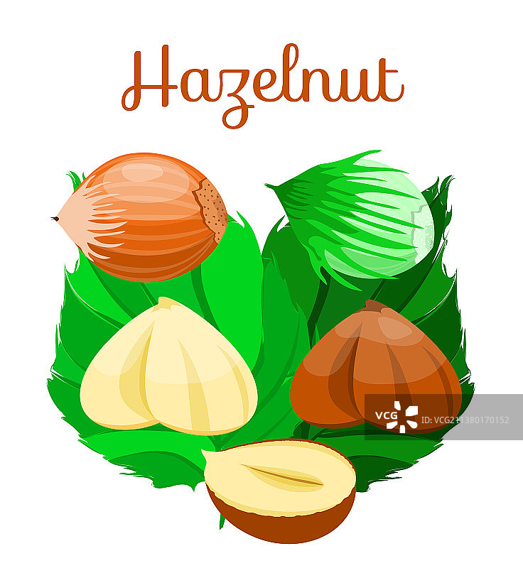 螺母素材图片素材