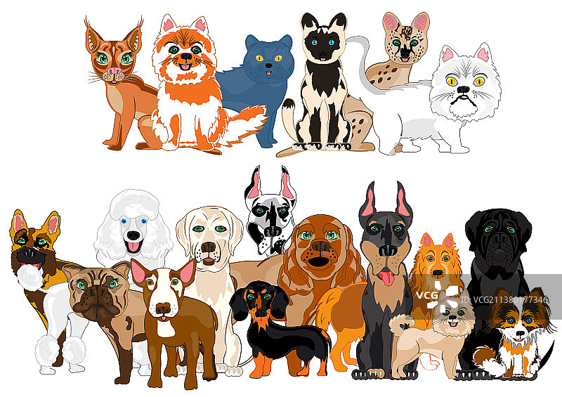 猫和狗合集图片素材