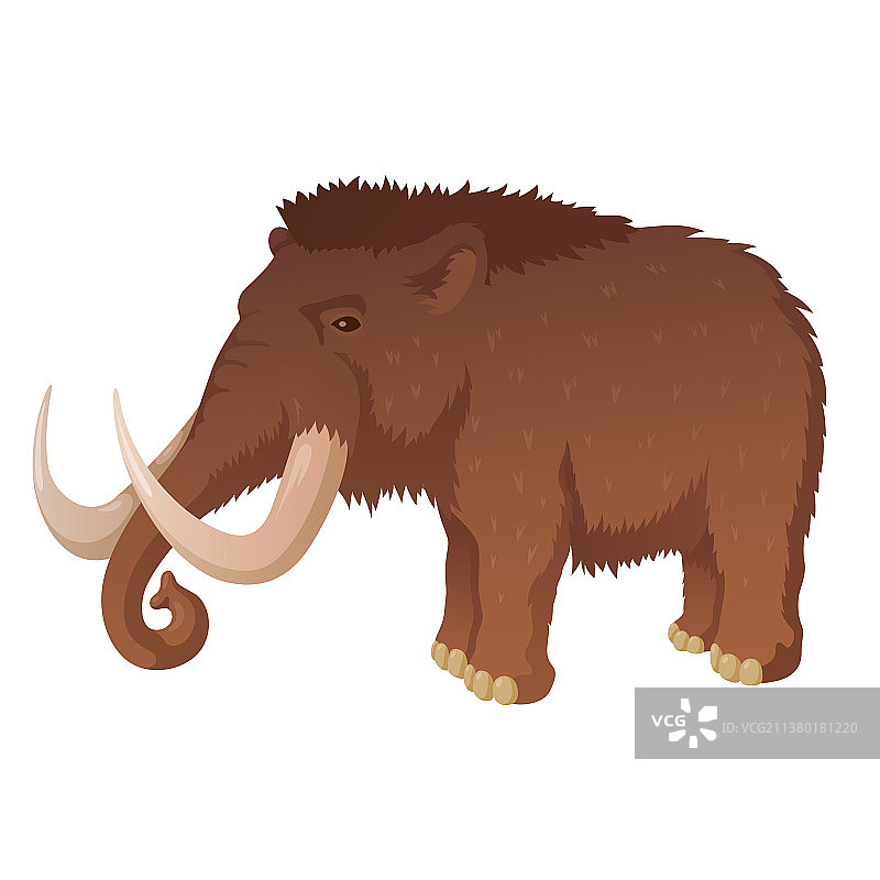 长着长牙的史前猛犸象图片素材