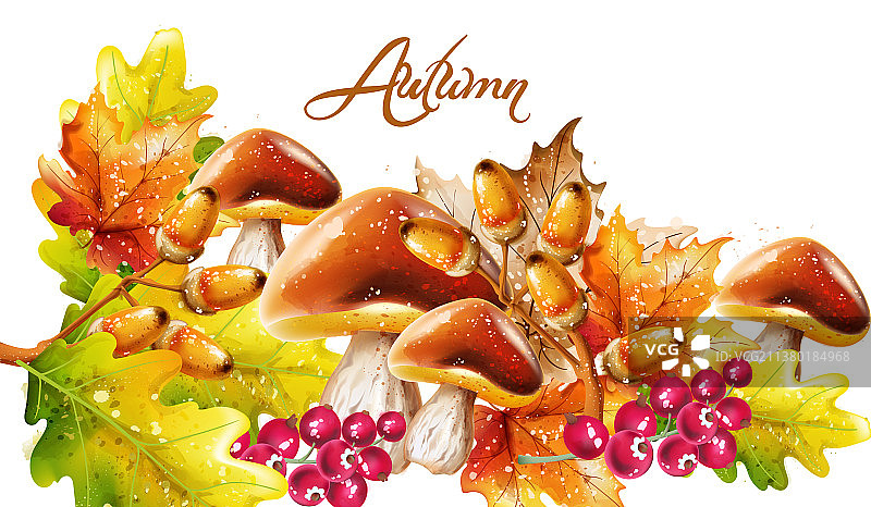 秋季蔬菜水彩森林丰收图片素材
