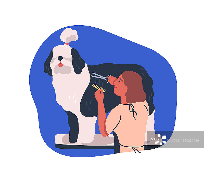 宠物狗美容服务图片素材