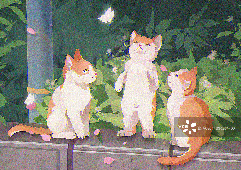 自然之旅图片素材