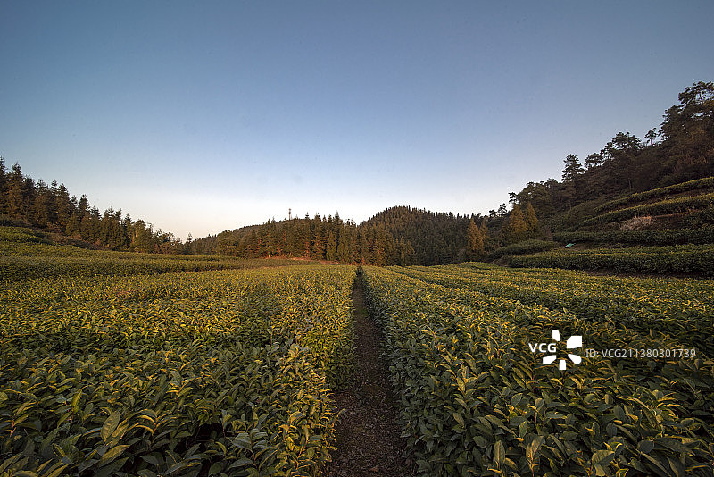 燕子岩的夕阳图片素材