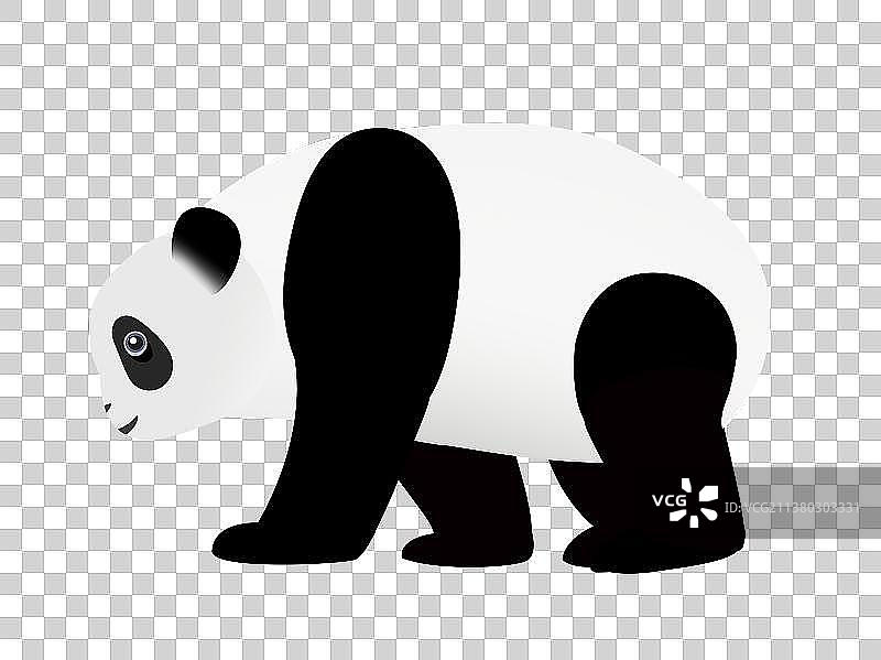 大熊猫图片素材