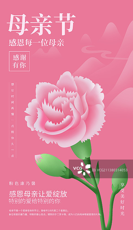 粉色康乃馨插画海报模版，母亲节让爱绽放节日插画海报模版，束优雅的粉色植物图纸盛开图片素材