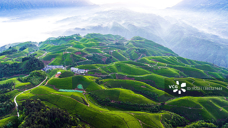 “全国十佳最美茶园”：湖北鹤峰木耳山茶叶基地宛若仙境今成游客打卡地图片素材