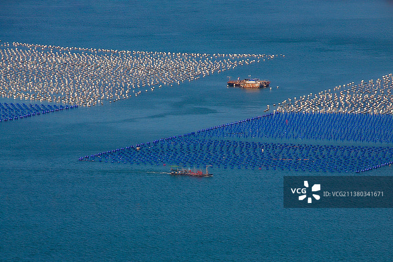 福建霞浦滩涂养殖鱼排航拍全景美图图片素材