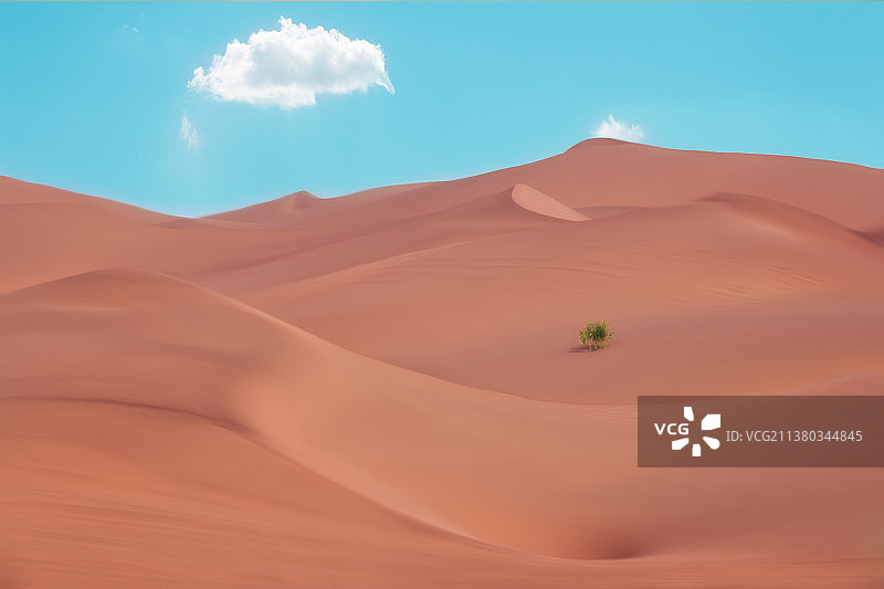 小鸡觅食图片素材