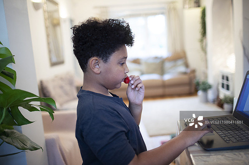 男孩在家边用笔记本电脑边吃草莓图片素材