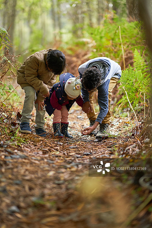 在树林小道上向下看的好奇兄弟姐妹图片素材