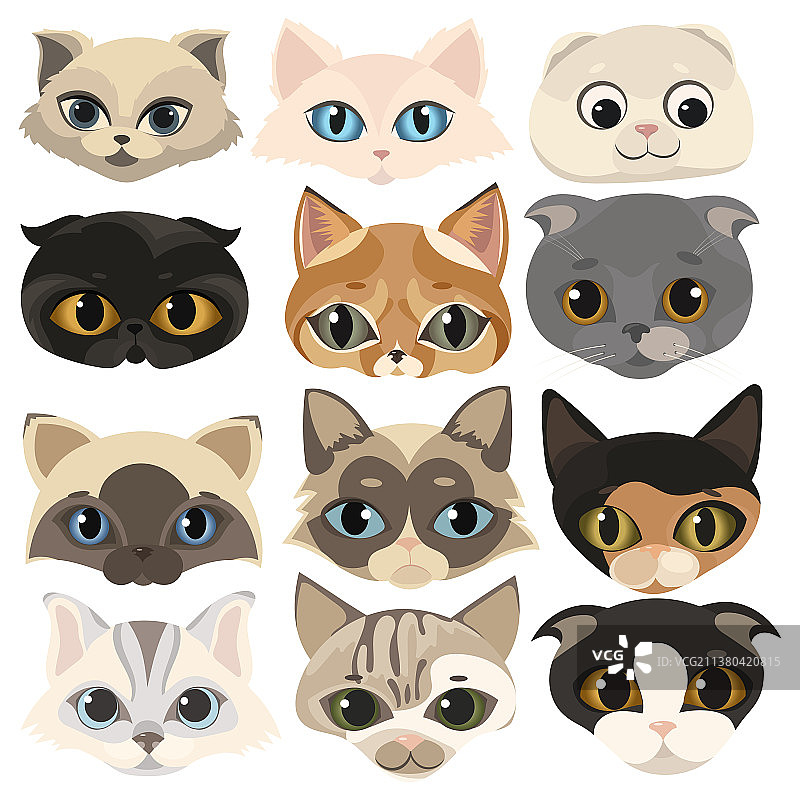 卡通小猫面部集合图片素材
