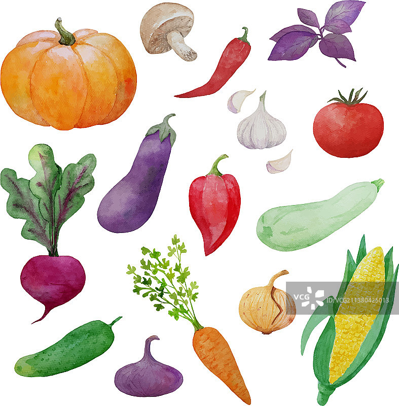 蔬菜水彩画图片素材