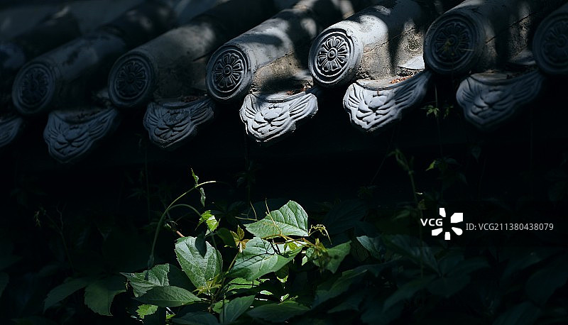 光影斑驳图片素材