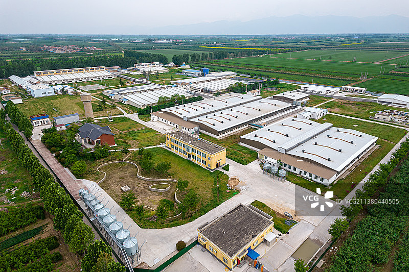 长荣农业养猪场图片素材