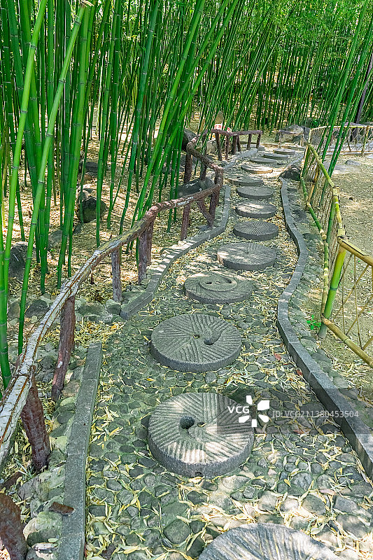 中国自然风光拍摄主题，山东省泰安市天龙湖风景区，绿色的竹林和圆形磨石铺路石道路，户外白昼无人图像摄影图片素材