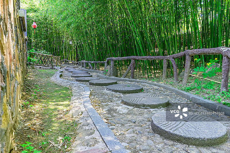 中国自然风光拍摄主题，山东省泰安市天龙湖风景区，绿色的竹林和圆形磨石铺路石道路，户外白昼无人图像摄影图片素材