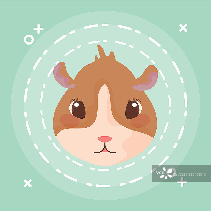 豚鼠宝宝动物头像图片素材