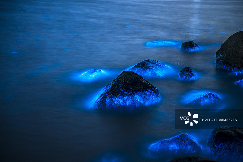 平潭蓝眼泪图片素材