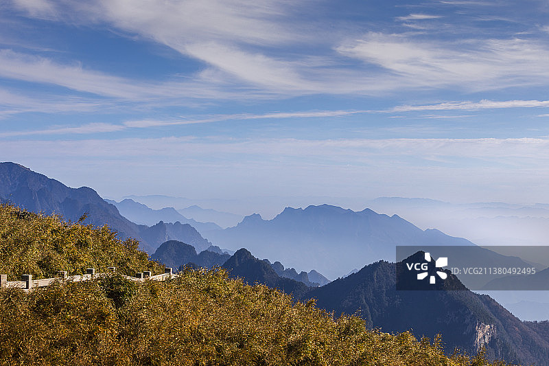 箭竹林中的栈道通向无边风景图片素材