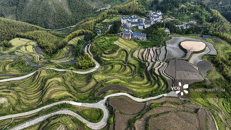 茶树坪梯田风光图片素材