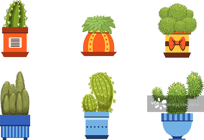 盆栽仙人掌植物集合图片素材