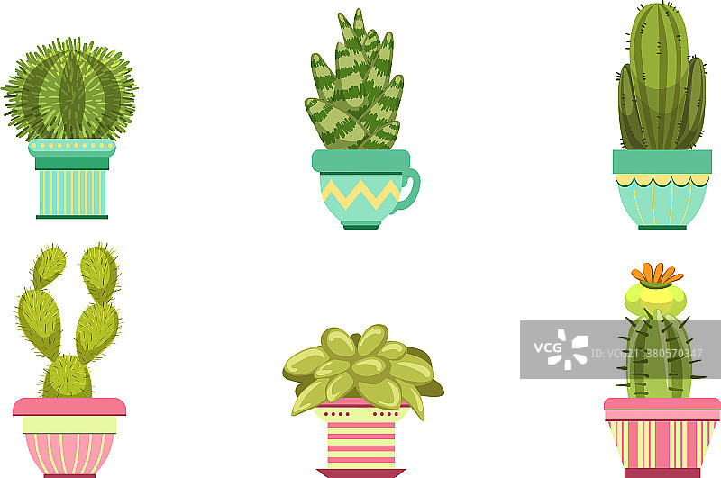盆栽仙人掌和多肉植物套装图片素材