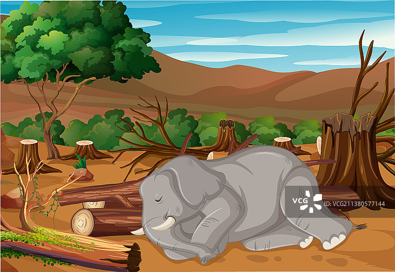 大象因污染死亡场景图片素材