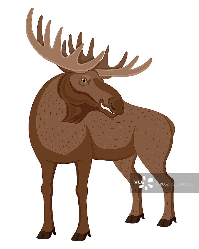 带有美丽犄角的麋鹿图片素材