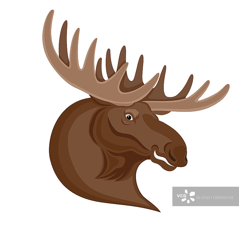 带有美丽犄角的麋鹿图片素材