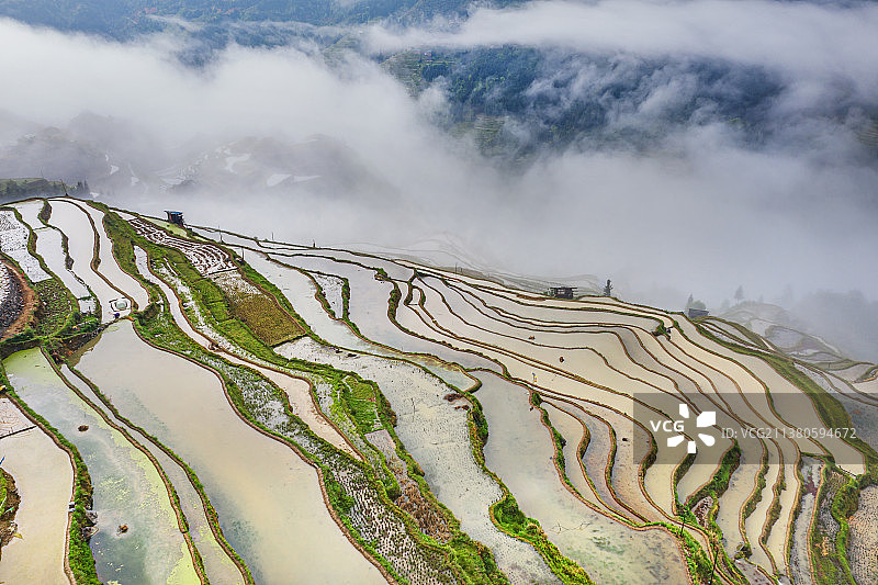 加榜梯田-云端上的田野图片素材