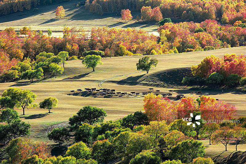 秋染蛤蟆坝图片素材