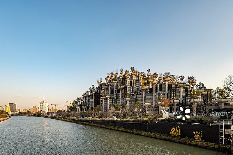 上海天安千树图片素材