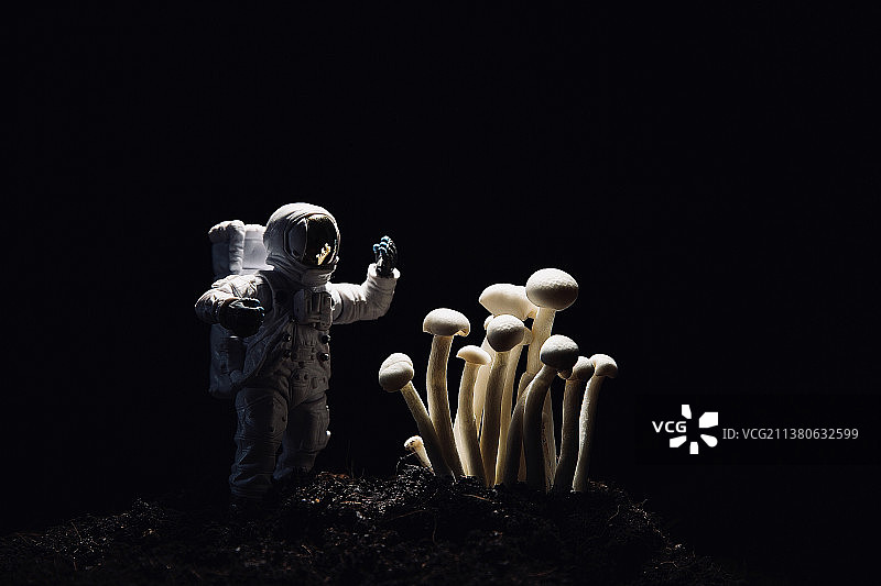 创意微缩摄影蔬菜静物：白玉菇和微型宇航员雕像图片素材