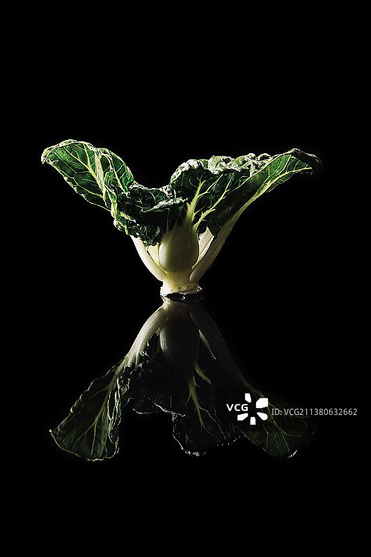 蔬菜创意艺术肖像静物：奶白菜图片素材