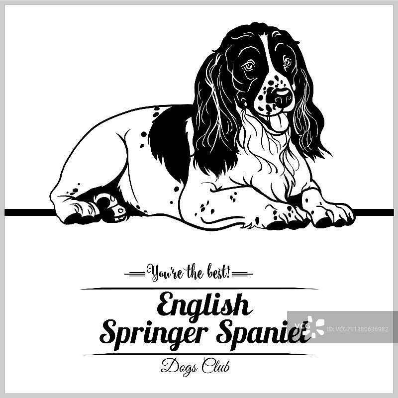 英国激飞猎犬图片素材