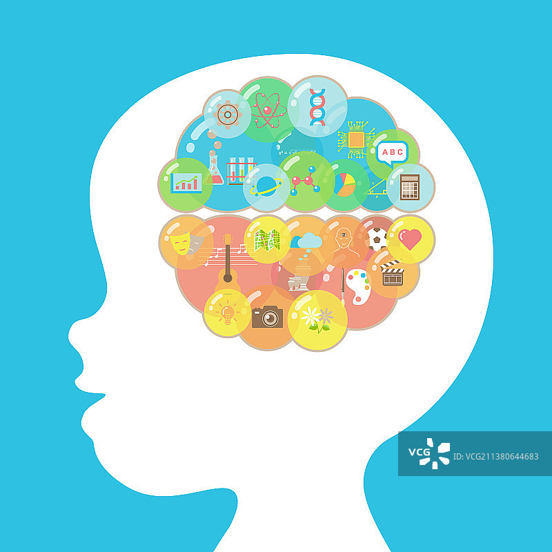 左右脑侧视图图片素材