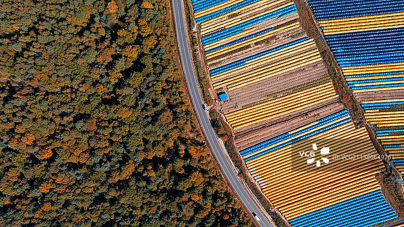 丰收季—吉林抚松图片素材