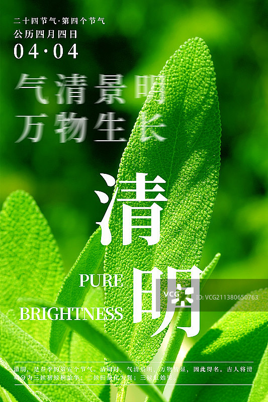 24节气海报之清明植物海报图片素材