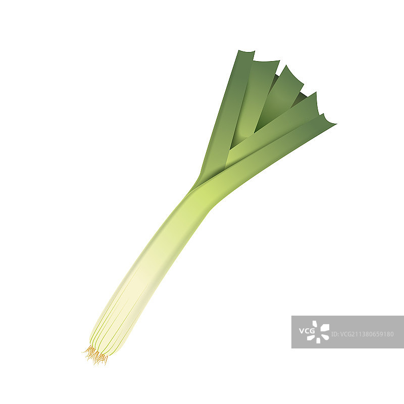 3D逼真的新鲜韭菜叶图片素材