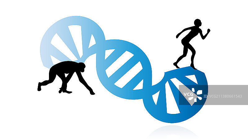 物种进化图片素材