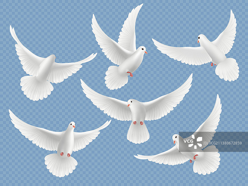 逼真的白色飞翔鸽子图片素材