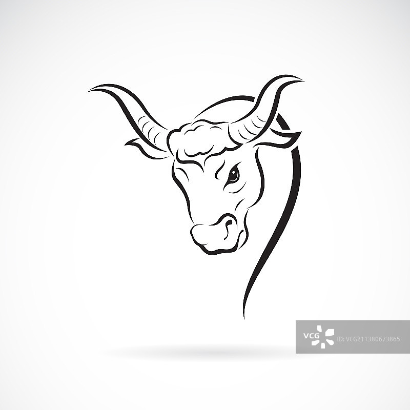 白色背景上的野牛头设计图片素材