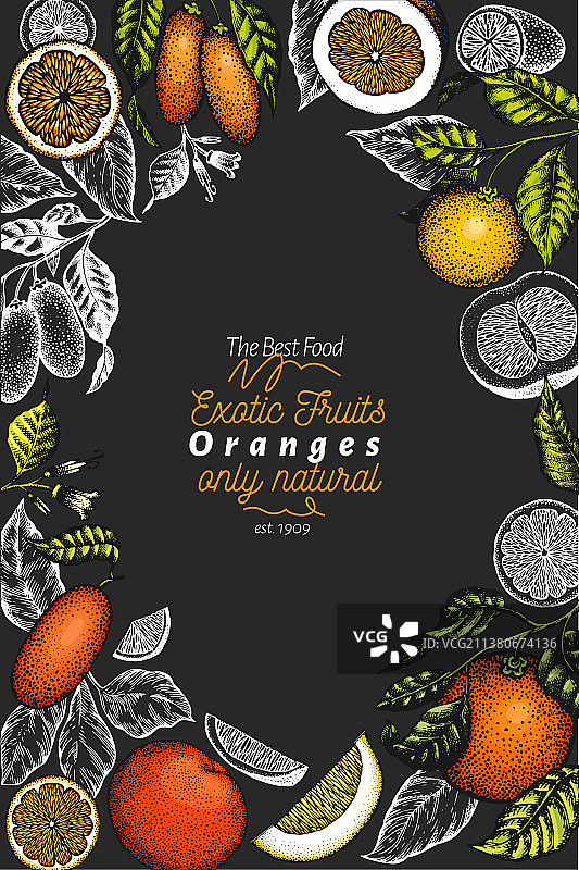 手绘彩色柑橘水果设计模板图片素材