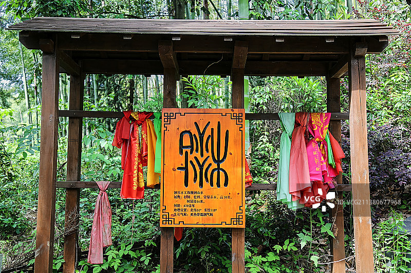 芜湖市繁昌区倒插木景区图片素材